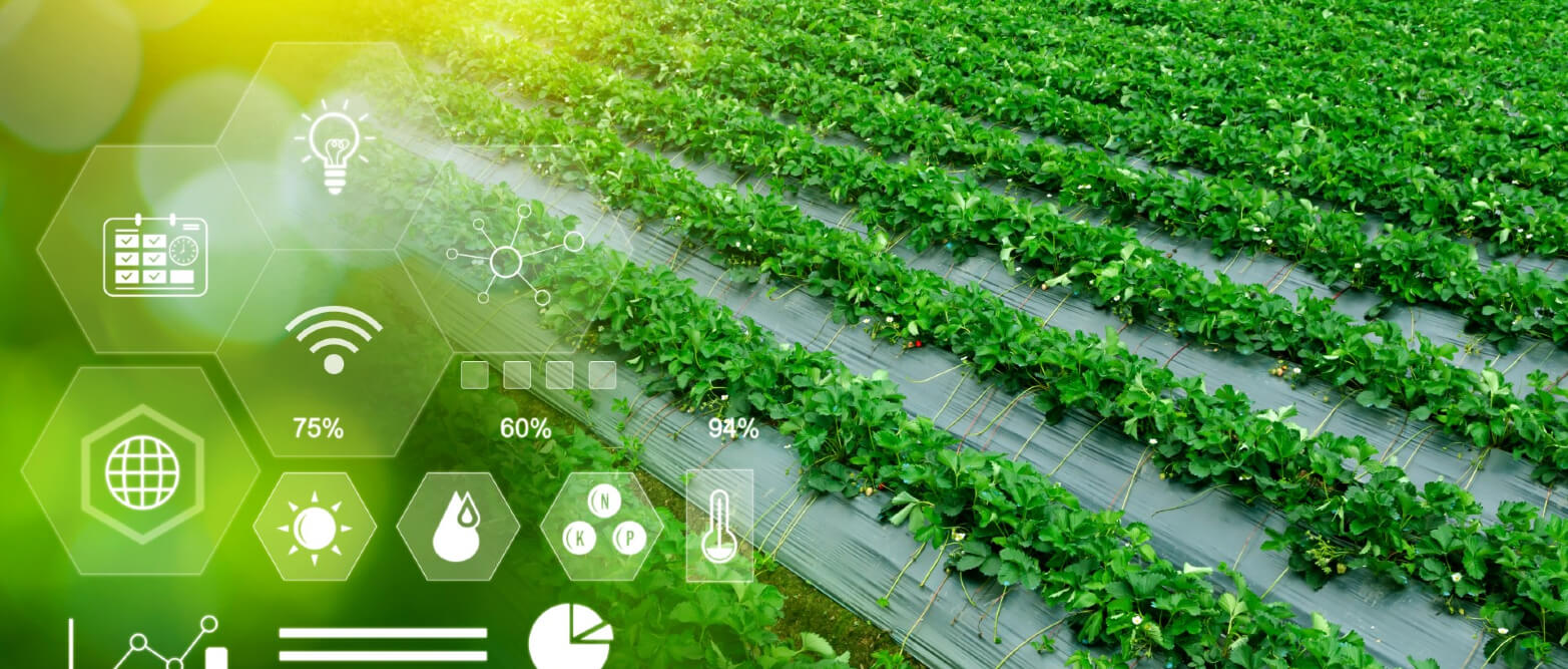 A farmer using a drone to monitor crop health, exemplifying precision agriculture